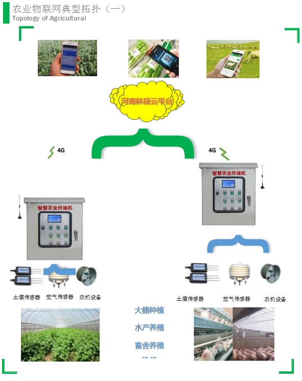 農(nóng)業(yè)物聯(lián)網(wǎng)典型拓?fù)洌ㄒ唬?.jpg